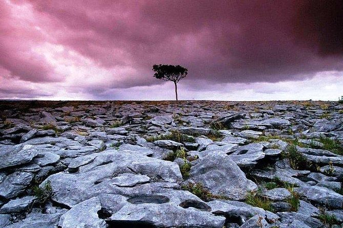 Walking in the Unique Burren Landscape & Perfumery Visit. Clare. Guided 4 Hrs - Tour Overview