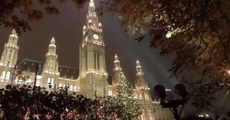Walking on the Historical Trail of Viennese Christmas Trees - The Tradition of Viennese Christmas Trees