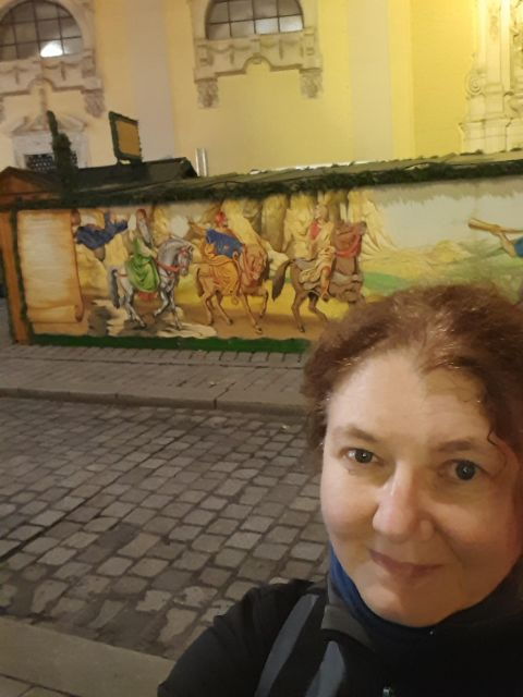 Walking on the Historical Trail of Viennese Christmas Trees - Walking From Palace to Palace in Vienna