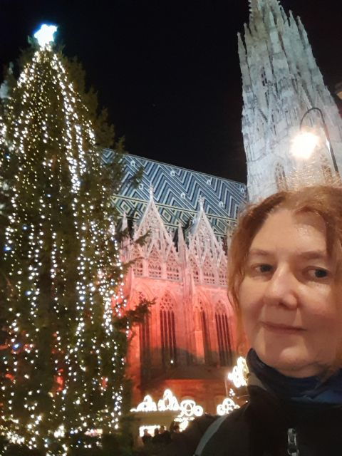 Walking on the Historical Trail of Viennese Christmas Trees - Discovering the Beauty of Viennas Architecture