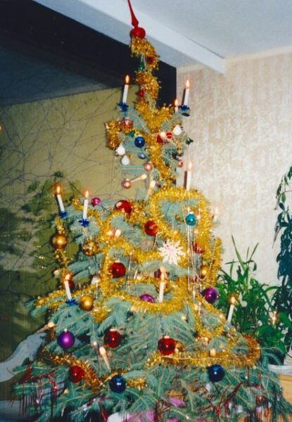 Walking on the Historical Trail of Viennese Christmas Trees - Inclusions and Practical Information