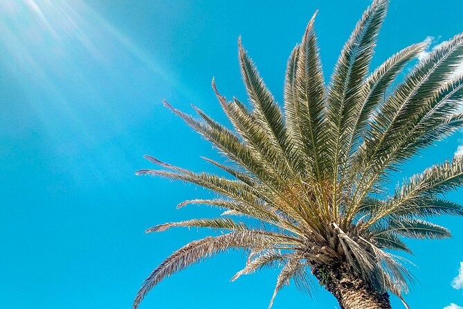 Walking Photography Tours of Mooloolaba and Alexandra Headland - Directions and Location Details