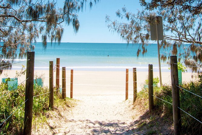 Walking Photography Tours of Mooloolaba and Alexandra Headland - Common Questions
