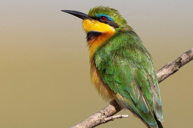 Walking Safari of Mosi-Oa-Tunya National Park, Livingstone Zambia - Good To Know