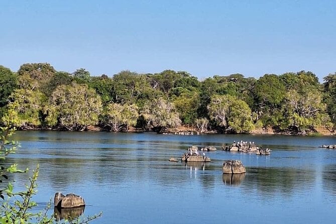 Walking Safari of Mosi-Oa-Tunya National Park, Livingstone Zambia - Booking Information
