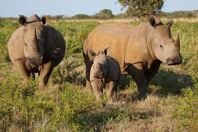 Walking Safari of Mosi-Oa-Tunya National Park, Livingstone Zambia - Safari Route Overview