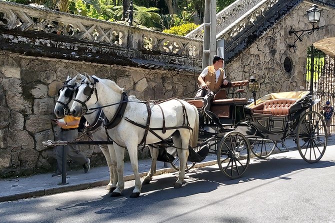 Walking Sintra Experience - Weather and What to Bring
