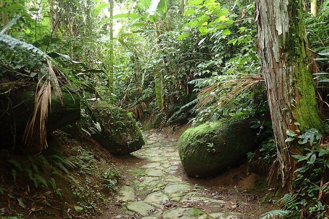 Walking the Gold Trail Tour - Historic Path Exploration