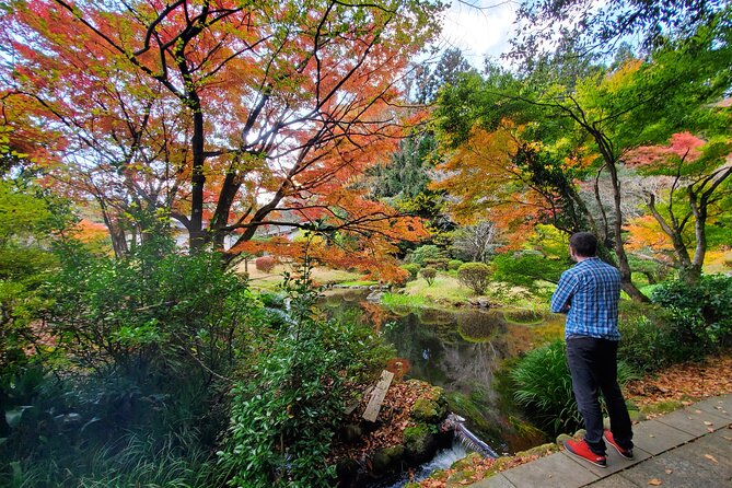 Walking Through the Aso Caldera, Historical Walk Along the "Bungo Kaido" - Festivals and Traditions: Experiencing Local Culture