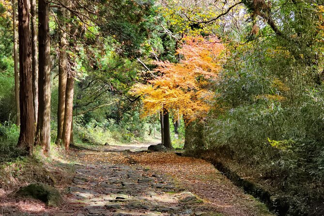 Walking Through the Aso Caldera, Historical Walk Along the "Bungo Kaido" - Tips for a Memorable Walking Tour in Aso Caldera