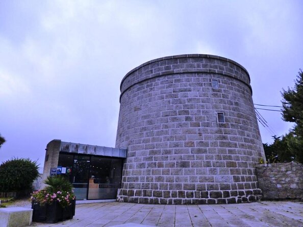 Walking Tour and Railway Ride of Scenic Coastal Dublin - Common Questions