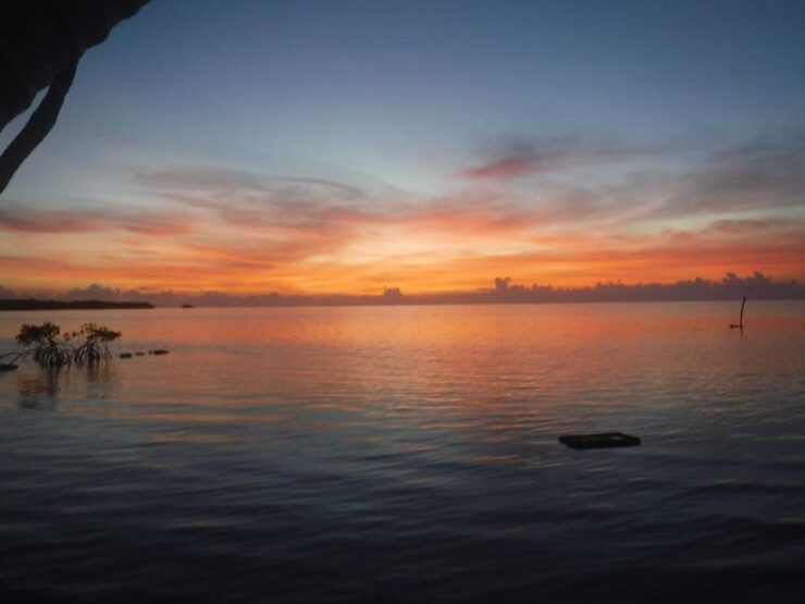 Walking Tour and Street Food in Calderitas Mexico - Activity Details