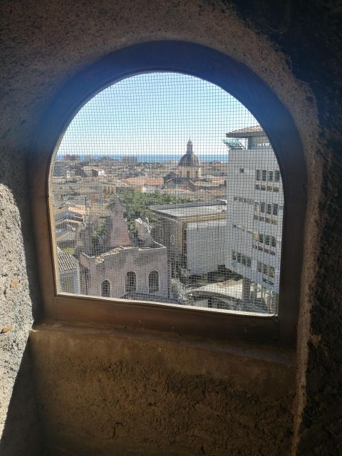 Walking Tour Around the Historical Center of Catania - Activity Description