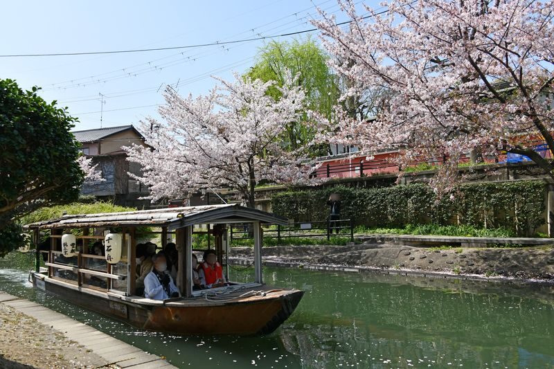 Walking tour exploring the sake-brewing town of Fushimi (Kyoto) - Is $82.89 good value?