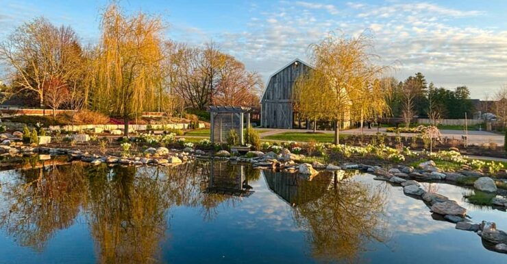 Walking Tour: Guided Walking Tour of Niagara-on-the-Lake - Experience Highlights
