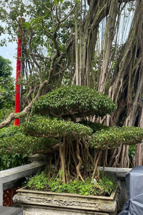 Walking Tour in Hanoi Old Quarter - Tour Duration and Pricing