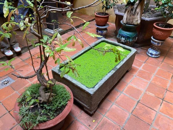 Walking Tour in Hanoi Old Town - Tips for Tourists