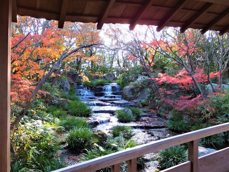 Walking Tour in Himeji: Castle, Garden and Aizome (Indigo Dyeing) - Itatehyozu Shrine and its long ritual cycles