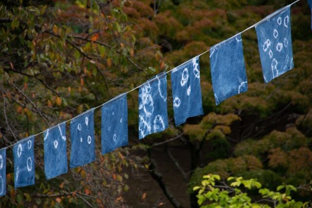 Walking Tour in Himeji: Castle, Garden and Aizome (Indigo Dyeing) - Who should book this Himeji walk?