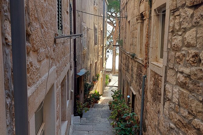 Walking Tour in Old Town Korcula 1 Hour - Operating Hours