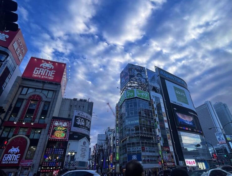 Walking Tour in Shinjuku & Kagurazaka: Tokyos Hidden Gems - Itinerary Highlights