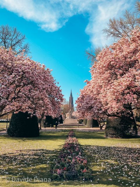 Walking Tour in Strasbourg Between History and Curiosities - Duration and Availability