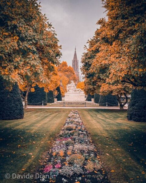 Walking Tour in Strasbourg Between History and Curiosities - Positive Reviews and Recommendations