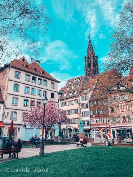 Walking Tour in Strasbourg Between History and Curiosities - The Sum Up