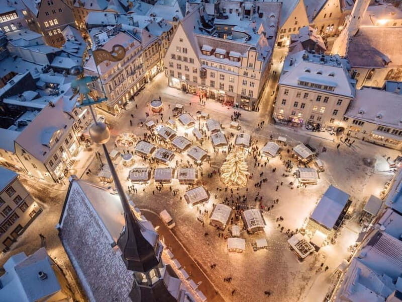 Walking tour in Tallinn Old Town - Who Will Love This Tour?