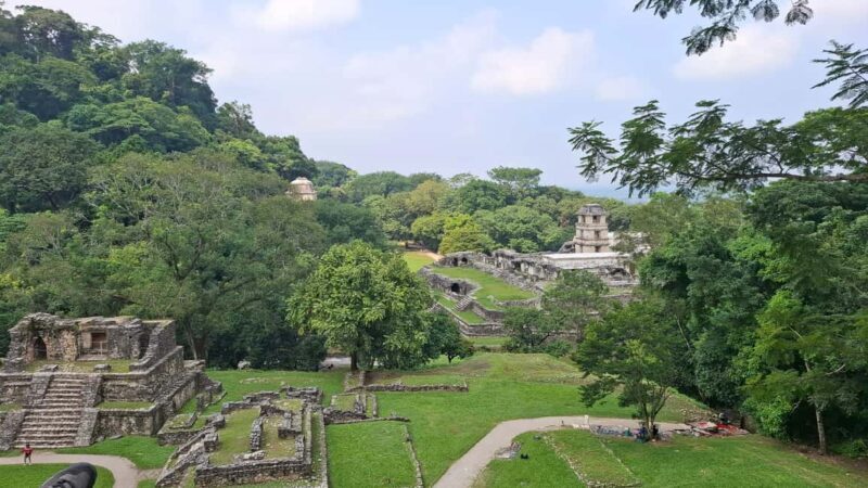 Walking tour in the archaeological site and jungle of Palenque - Discovering Palenque: A Guide to the 4-Hour Adventure
