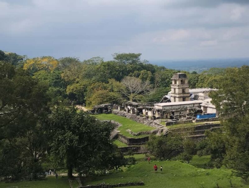 Walking tour in the archaeological site and jungle of Palenque - Is This Tour Right for You?