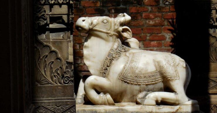 Walking Tour in the Old Part of the City of Varanasi - Good To Know