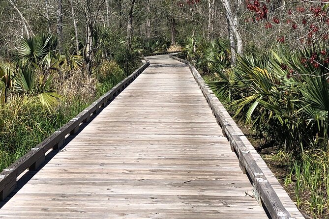Walking Tour Into the Swamps - Accessibility for Wheelchairs and Strollers