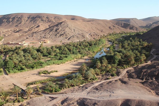 Walking Tour & Lunch in Oasis Fint With Local Family - Meeting Points