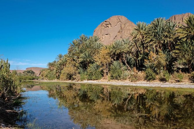 Walking Tour & Lunch in Oasis Fint With Local Family - Cancellation Policy