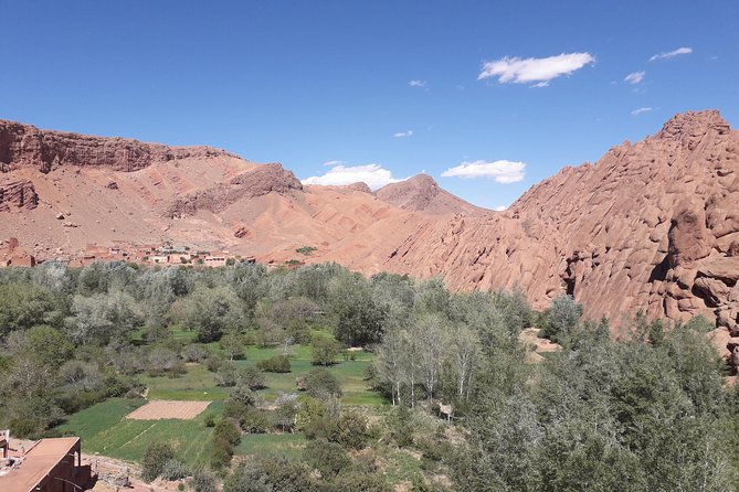 Walking Tour & Lunch in Oasis Fint With Local Family - Directions