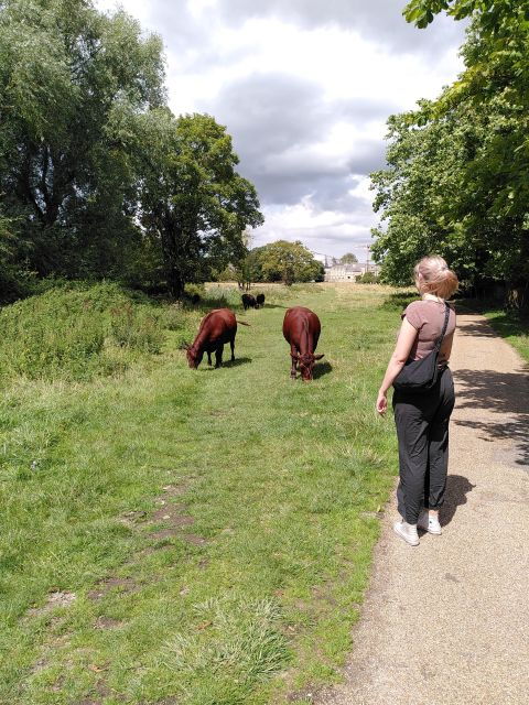 Walking Tour of Cambridge, With Local Guide - Highlights