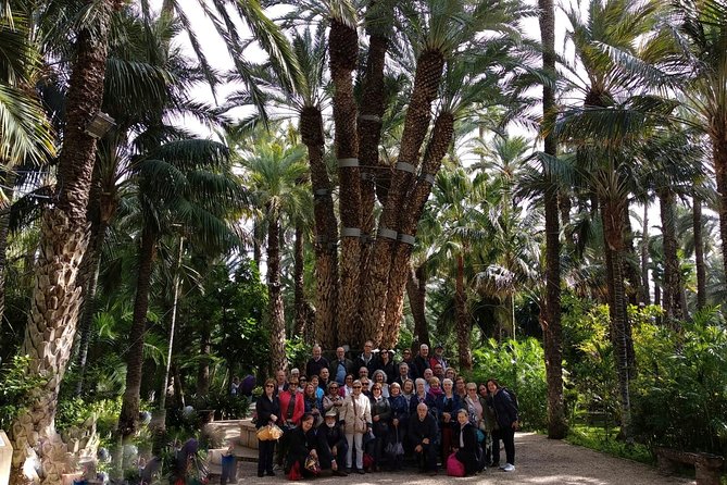Walking Tour of Elche - Questions and Assistance