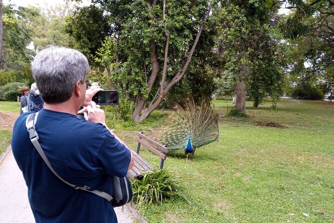 Walking Tour of General History and Secret Societies in Lisbon - Meeting and Pickup