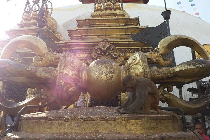 Walking Tour of Kathmandu With Awesome Local Guides - Highlights of the Walking Tour