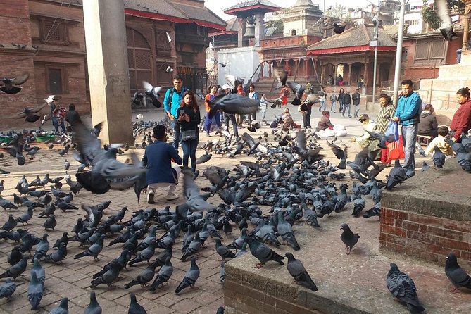 Walking Tour of Kathmandu With Awesome Local Guides - Reviews and Ratings Overview