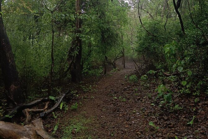 Walking Tour of Maharashatra Nature Park - Final Thoughts: Who Will Love This Tour?