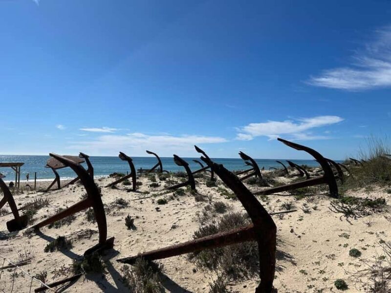 Walking tour of Tavira/Ilha de Tavira/Barril/Santa Luzia - Good To Know