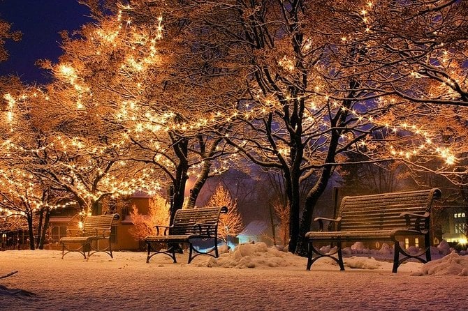 Walking Tour of the Christmas Markets in Munich - Questions and Terms