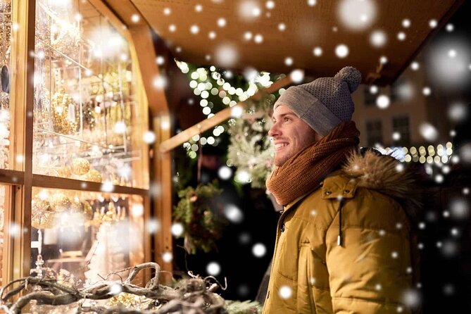 Walking Tour of the Hague With Royal Christmas Fair - Historical Insights