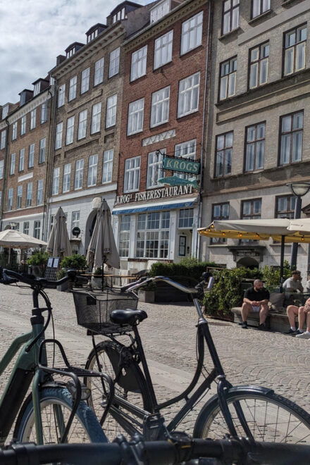 Walking Tour of the Historical Center of Copenhagen - Meeting Point and Duration