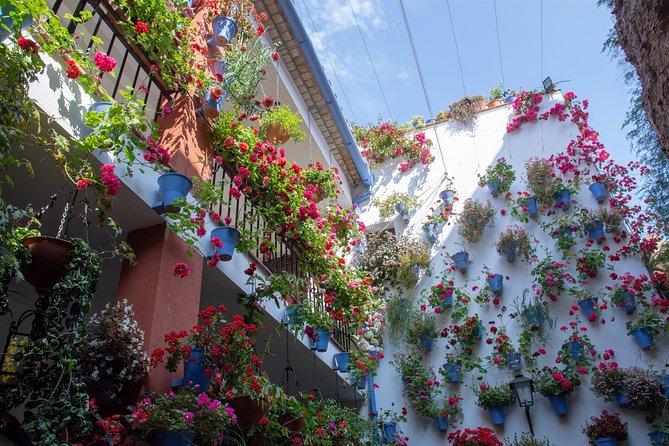 Walking Tour of the Patios of San Basilio in Cordoba - Booking and Flexibility