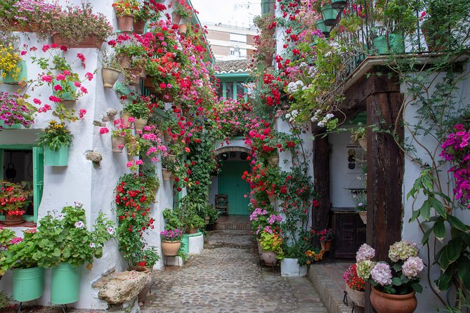 Walking Tour of the Patios of San Basilio in Cordoba - Tour Overview