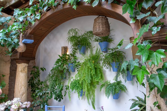 Walking Tour of the Patios of San Basilio in Cordoba - The Sum Up