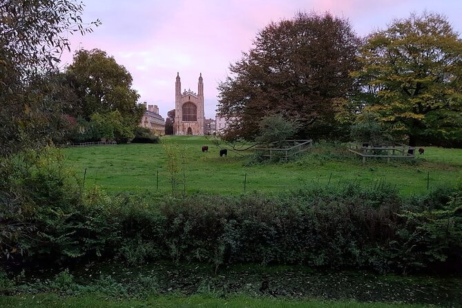 Walking Tour of the Sights and Highlights of Cambridge - Local Recommendations and Dining Options